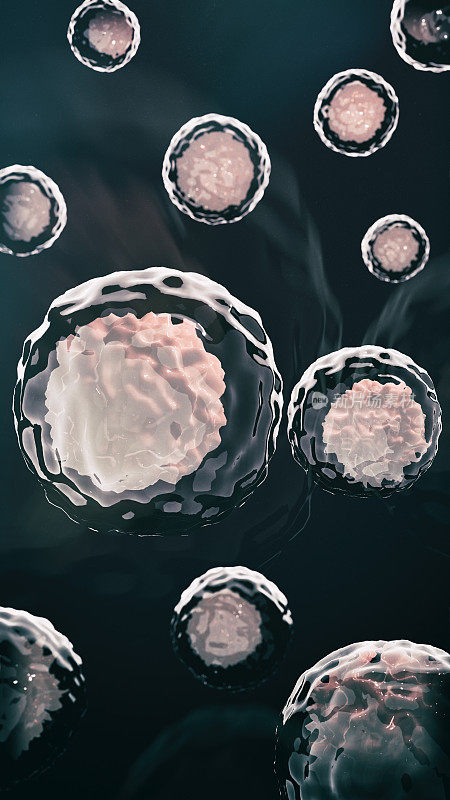 3d rendering of the stem cell nucleus and membrane